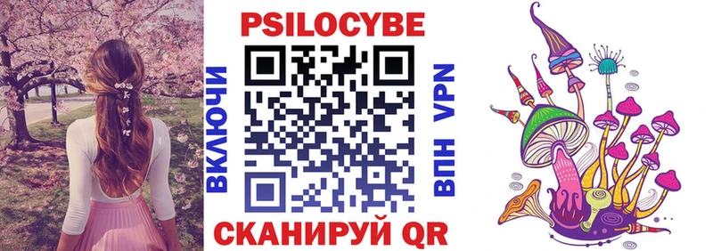 где купить Выборг Галлюциногенные грибы прущие грибы