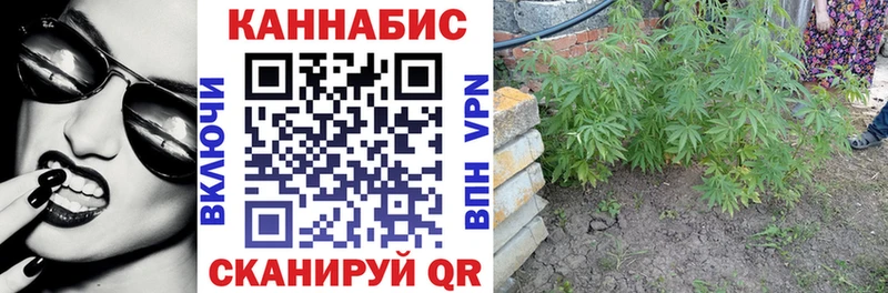 МАРИХУАНА Ganja  кракен онион  Выборг 